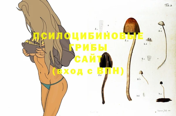 прущий лед Горняк