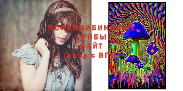 прущая мука Горно-Алтайск