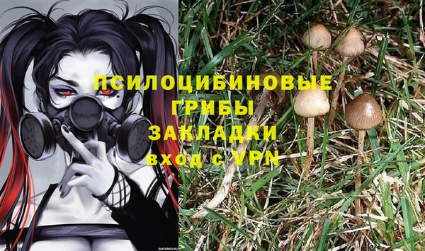 прущая мука Горно-Алтайск
